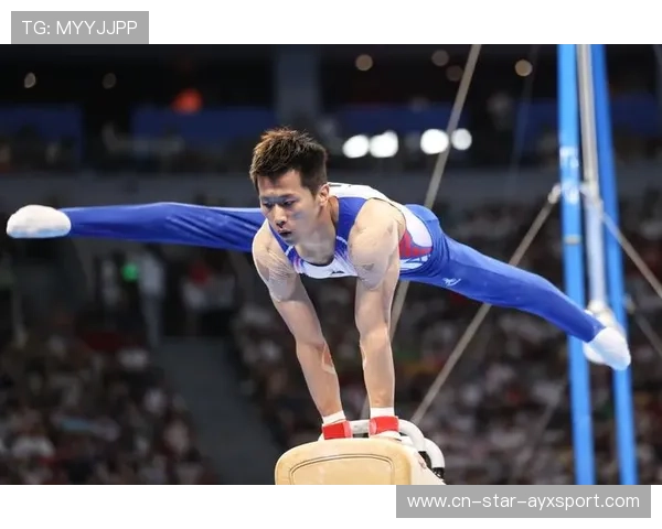 体操鞍马新动作令人瞠目：颠覆传统的创新瞬间