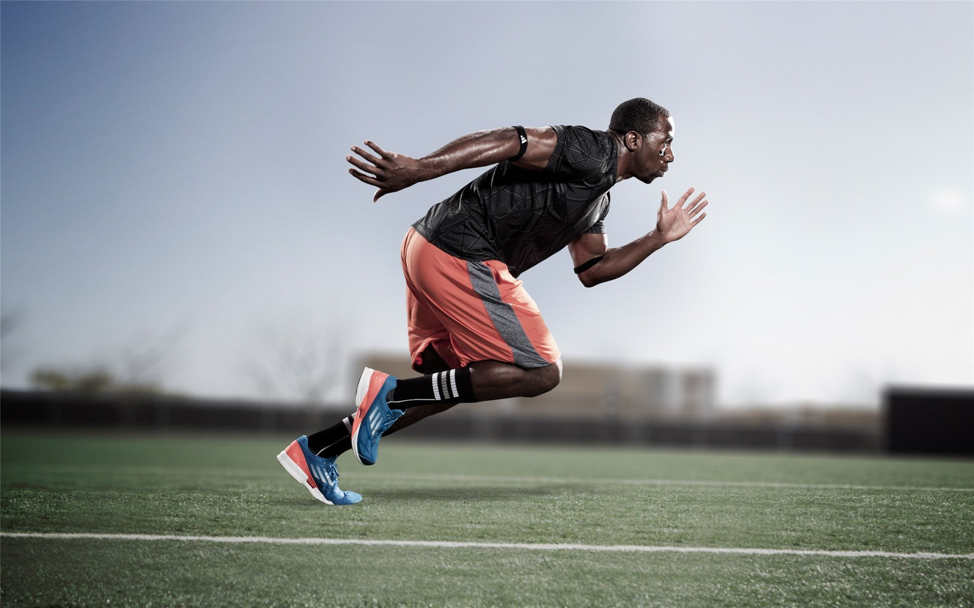 《比赛冠军背后的故事：他们的成长与奋斗》，比赛赢得冠军的稿子